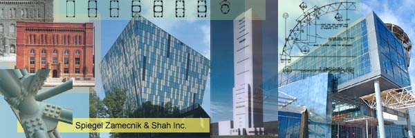 Spiegel Zamecnik &amp Shah Inc.
